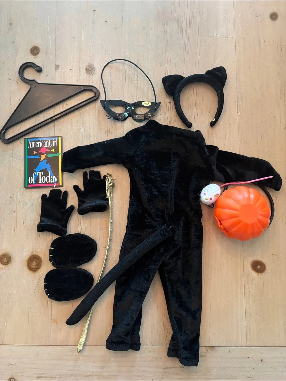 American Girl Cat Costume with Accessories